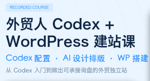 大卫·外贸人Codex + WordPress建站课(更新8月)-百盛轻创