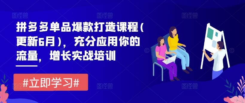 拼多多单品爆款打造课程(更新6月)，充分应用你的流量，增长实战培训-小艾项目网