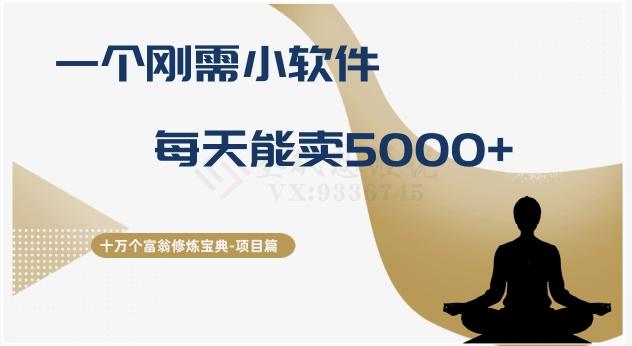 十万个富翁修炼宝典之17.一个刚需小软件，每天能卖5000+-小艾项目网