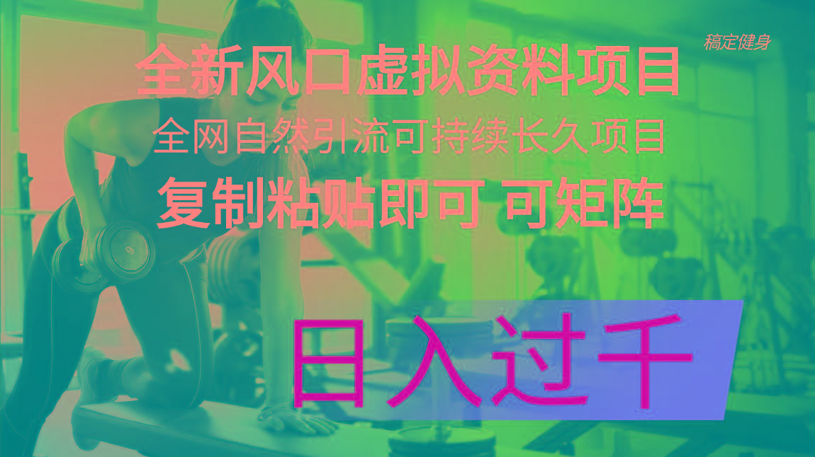 全新风口虚拟资料项目 全网自然引流可持续长久项目 复制粘贴即可可矩阵...-百盛轻创