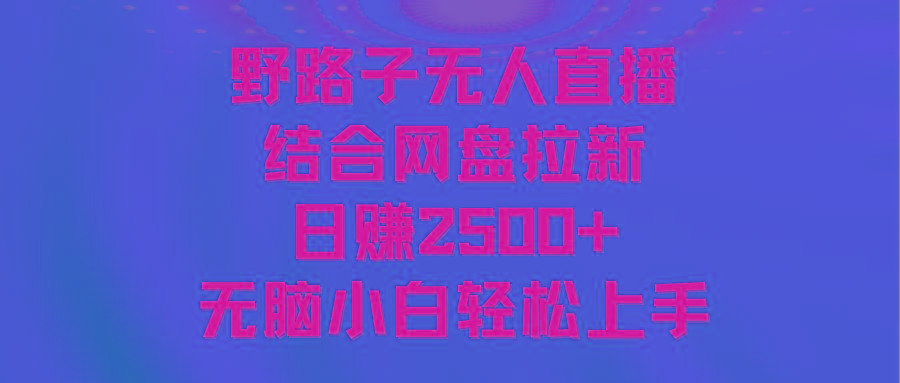 无人直播野路子结合网盘拉新，日赚2500+多平台变现，小白无脑轻松上手操作-百盛轻创
