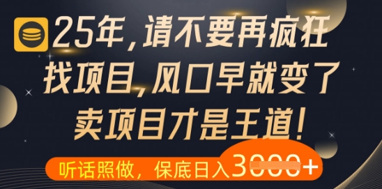 什么？25年你还在疯狂找项目做，醒醒吧，看完这些你全都懂了【揭秘】-百盛轻创