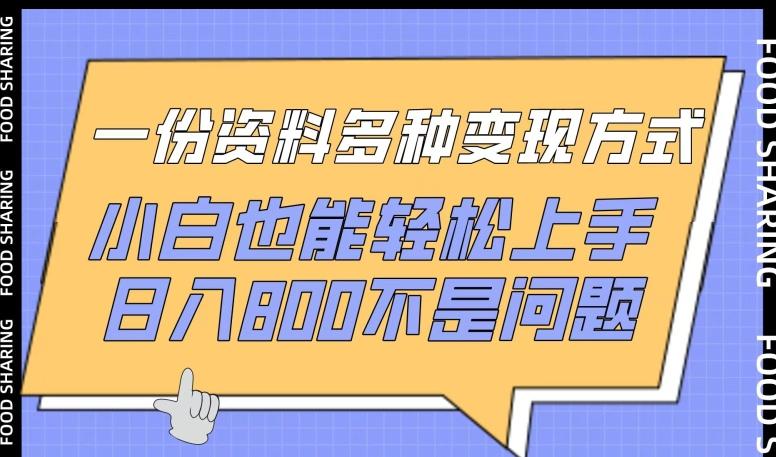 一份资料多种变现方式，小白也能轻松上手，日入800不是问题【揭秘】-百盛轻创