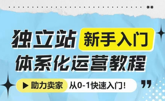独立站新手入门体系化运营教程，助力独立站卖家从0-1快速入门!-百盛轻创