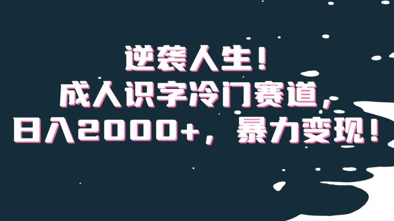 逆袭人生！成人识字冷门赛道，日入2000+，暴力变现！【揭秘】-百盛轻创