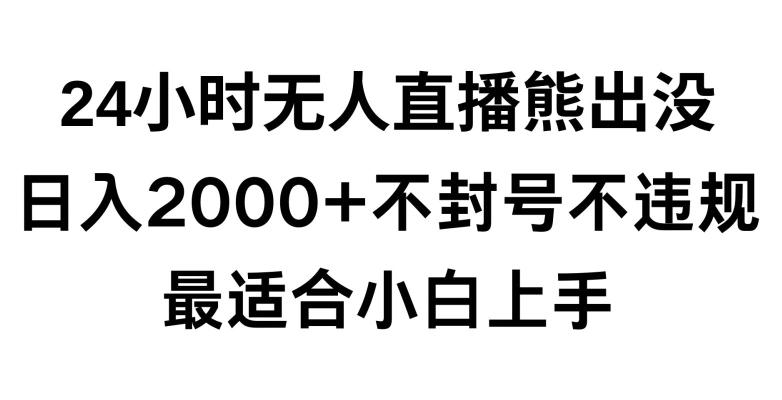 快手24小时无人直播熊出没，不封直播间，不违规，日入2000+，最适合小白上手，保姆式教学【揭秘】-百盛轻创