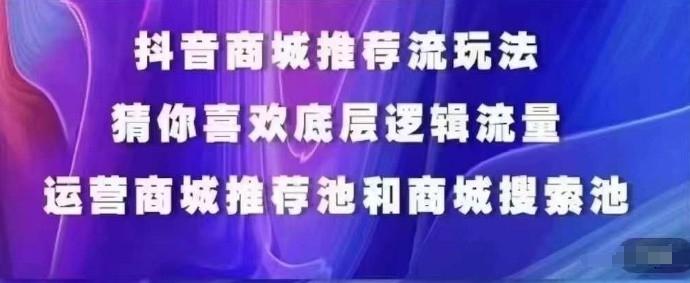 抖音商城运营课程，猜你喜欢入池商城搜索商城推荐人群标签覆盖-百盛轻创