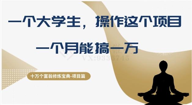 十万个富翁修炼宝典之4.一个大学生操作这个项目，一个月能搞一万-小艾项目网