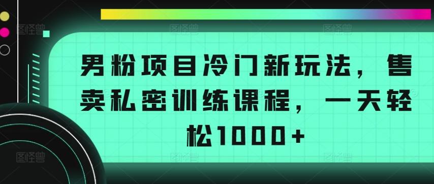 男粉项目冷门新玩法，售卖私密训练课程，一天轻松1000+【揭秘】-百盛轻创