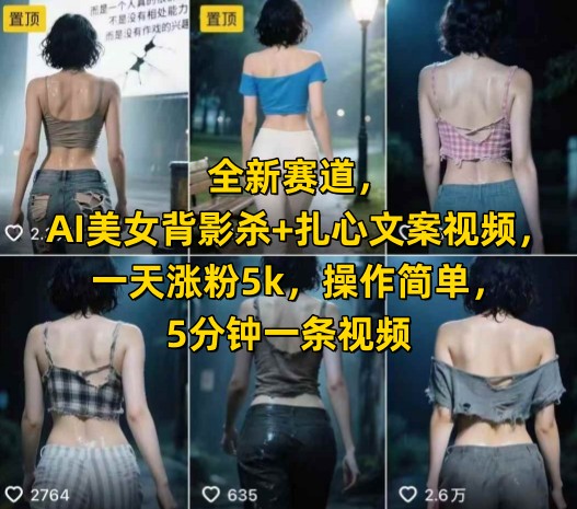 全新赛道，AI美女背影杀+扎心文案视频，一天涨粉5k，操作简单，5分钟一条视频-小艾项目网