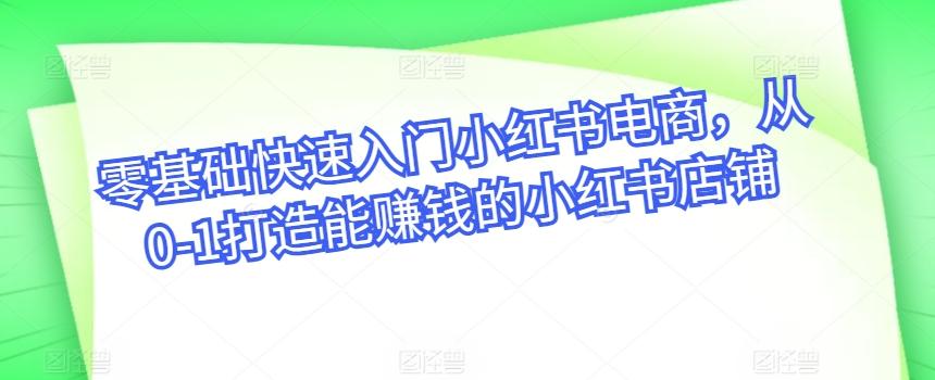 零基础快速入门小红书电商，从0-1打造能赚钱的小红书店铺-百盛轻创