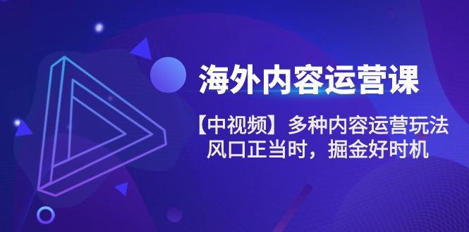 海外内容 运营课【中视频】多种内容运营玩法 风口正当时 掘金好时机-101节-百盛轻创