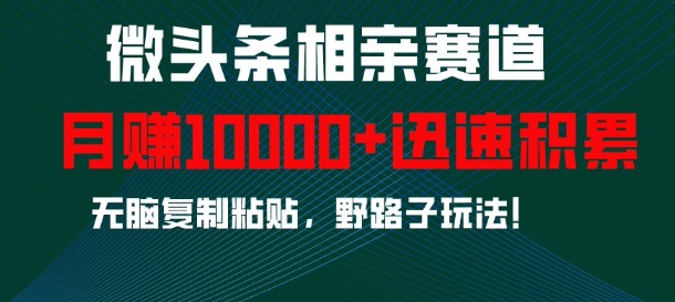 微头条相亲赛道，迅速积累，无脑复制粘贴，野路子玩法，月入1w-百盛轻创