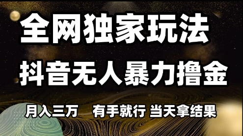 全网独家玩法抖音无人暴力撸金，月入3W，有手就行，当天拿结果【揭秘】-百盛轻创