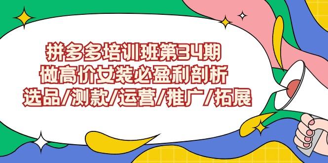 (9333期)拼多多培训班第34期：做高价女装必盈利剖析  选品/测款/运营/推广/拓展-百盛轻创