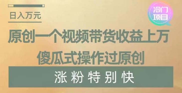 原创一个视频带货收益上万，傻瓜式操作过原创，几分钟做一个视频涨粉特别快【揭秘】-小艾项目网