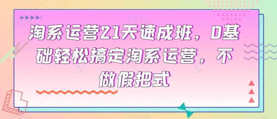 淘系运营21天速成班，0基础轻松搞定淘系运营，不做假把式-小艾项目网