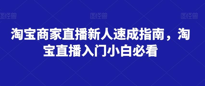 淘宝商家直播新人速成指南，淘宝直播入门小白必看-小艾项目网