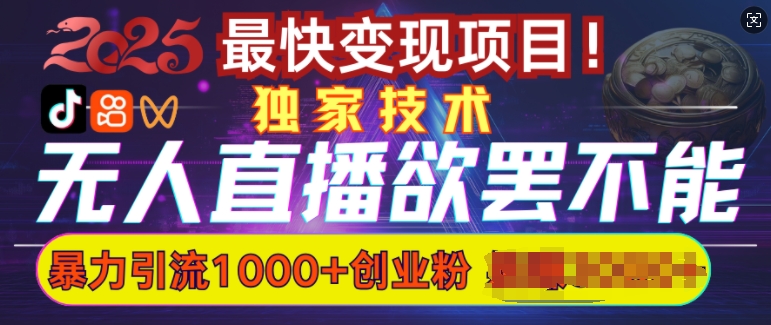 欲罢不能的无人直播引流，超暴力日引流1000+高质量精准创业粉-小艾项目网