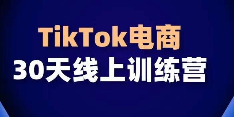 TikTok电商带货30天线上课，不可错过的全球流量洼地！-百盛轻创