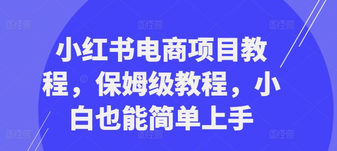 小红书电商项目教程，保姆级教程，小白也能简单上手-小艾项目网
