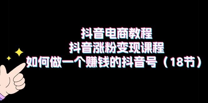 抖音电商教程：抖音涨粉变现课程：如何做一个赚钱的抖音号(18节-小艾项目网