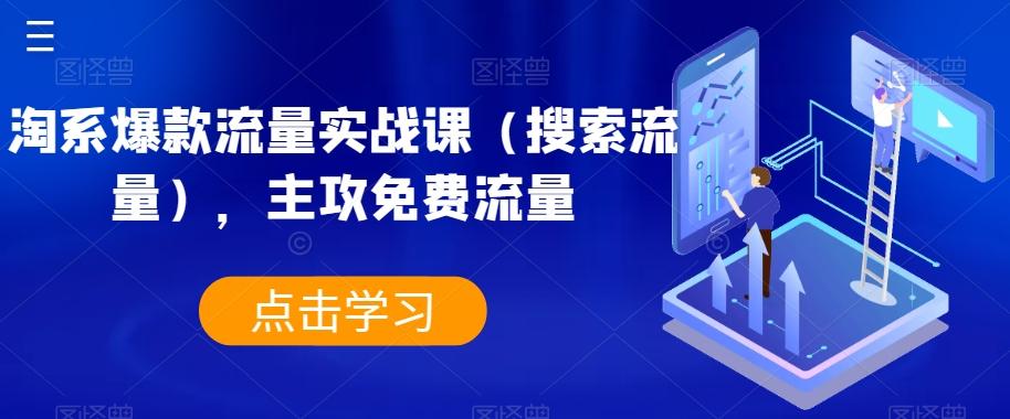 淘系爆款流量实战课（搜索流量），主攻免费流量-小艾项目网