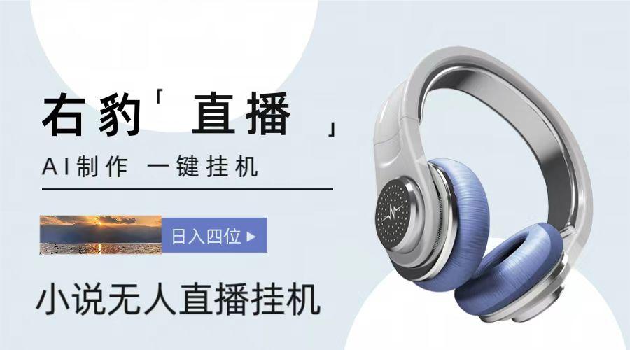 右豹小说无人直播挂机吸金项目，简单易行收益稳定， 月入1000+-百盛轻创