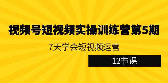 视频号短视频实操训练营第5期：7天学会短视频运营(12节课)-百盛轻创