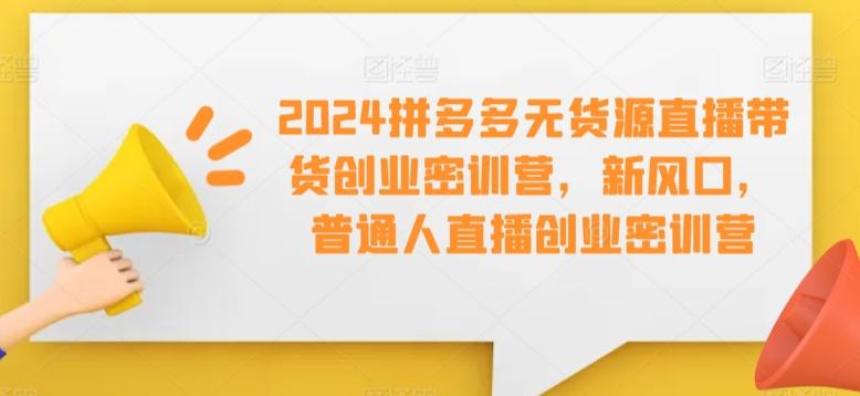 2024拼多多无货源直播带货创业密训营,新风口,普通人直播创业密训营