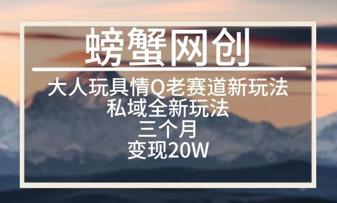 大人玩具情Q用品赛道私域全新玩法，三个月变现20W，老项目新思路【揭秘】-小艾项目网