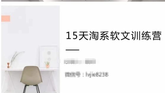 15天淘系软文训练营，跟年入50万的淘系软文导师，学习月收过万的淘系软文-百盛轻创
