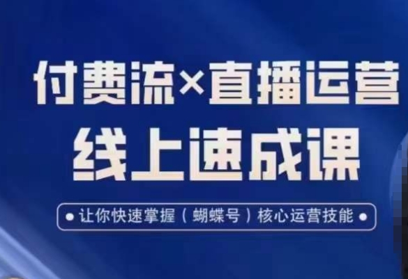 视频号付费流实操课程，付费流✖️直播运营速成课，让你快速掌握视频号核心运营技能-百盛轻创