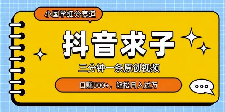 小国学细分赛道，三分钟一条原创视频，日赚500+，可矩阵复制-小艾项目网