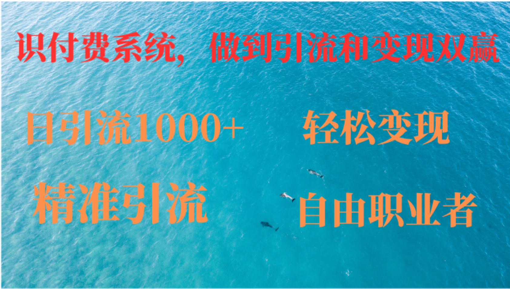 如何搭建自己的知识付费系统，做到引流和变现双赢-小艾项目网