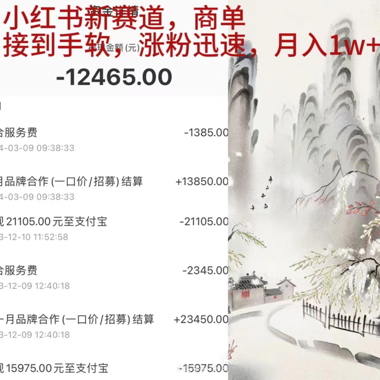 (9476期)小红书新赛道，商单接到手软，涨粉迅速，月入1w+-百盛轻创