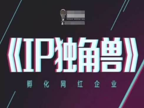 IP独角兽，孵化网红企业，ip教程-小艾项目网