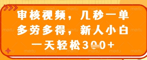 审核视频，几秒一单，多劳多得，新人小白一天轻松3张【揭秘】-百盛轻创