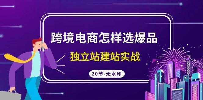 (9369期)跨境电商怎样选爆品，独立站建站实战(20节高清无水印课)-百盛轻创