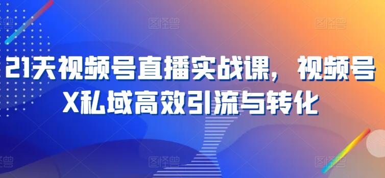 21天视频号直播实战课，视频号X私域高效引流与转化-小艾项目网