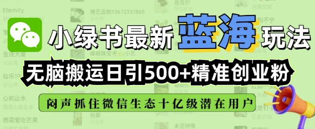 小绿书无脑搬运引流，全自动日引500精准创业粉，微信生态内又一个闷声发财的机会-小艾项目网