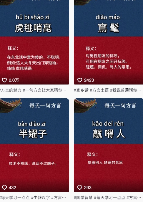 抖音最新涨粉玩法，图文方言暴力涨粉实操，126作品涨粉11W-小艾项目网