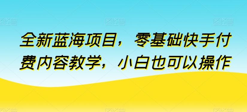 全新蓝海项目，零基础快手付费内容教学，小白也可以操作【揭秘】-小艾项目网