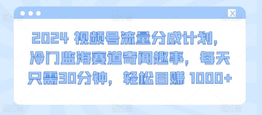 2024视频号流量分成计划，冷门监海赛道奇闻趣事，每天只需30分钟，轻松目赚 1000+【揭秘】-百盛轻创