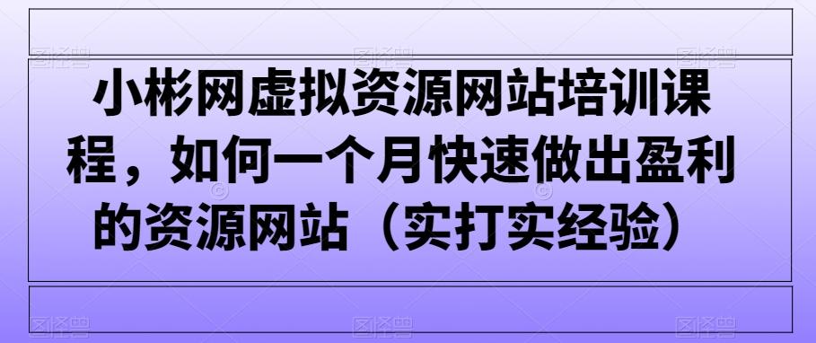 小彬网虚拟资源网站培训课程，如何一个月快速做出盈利的资源网站(实打实经验)-百盛轻创