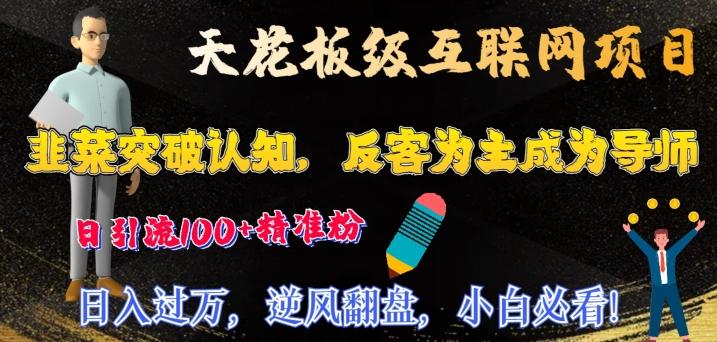 天花板级互联网项目，韭菜突破认知，反客为主成为导师，日引流100+精准粉-小艾项目网