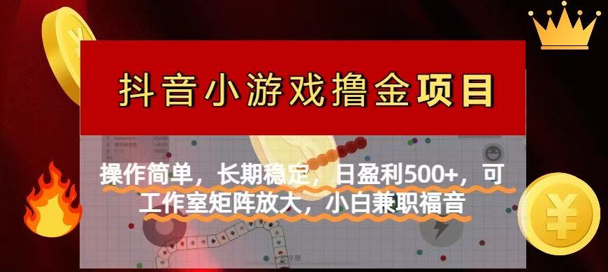 【抖音小游戏发行人计划项目】操作简单，长期稳定，日盈利500+，可工作…-小艾项目网