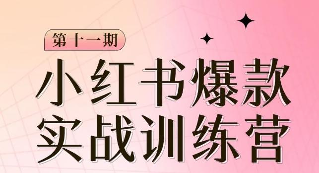 小红书博主爆款训练营第11期，手把手教你从0-1做小红书，从定位到起号到变现-小艾项目网