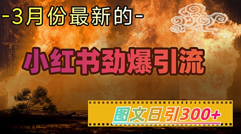小红书超劲爆引流手段，图文日引300+轻松变现1W-百盛轻创