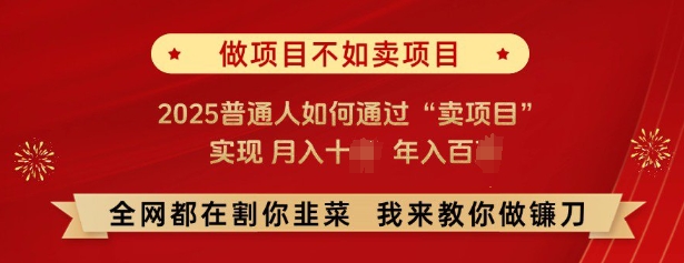 必看，做项目不如卖项目，2025普通人如何通过“卖项目”实现月入十个，年入百个-百盛轻创